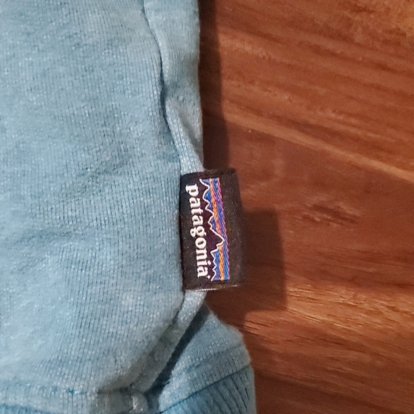 Patagonia Light Blue Hoodie with Bear Graphic - Picture 9 of 10